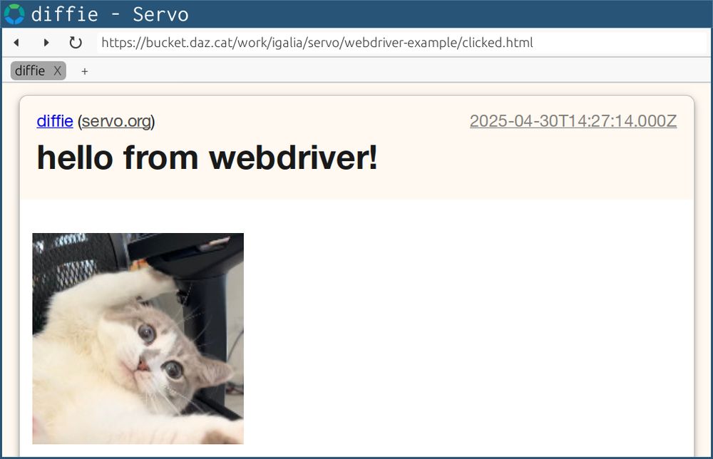 Servo showing a page that was modified by a WebDriver client