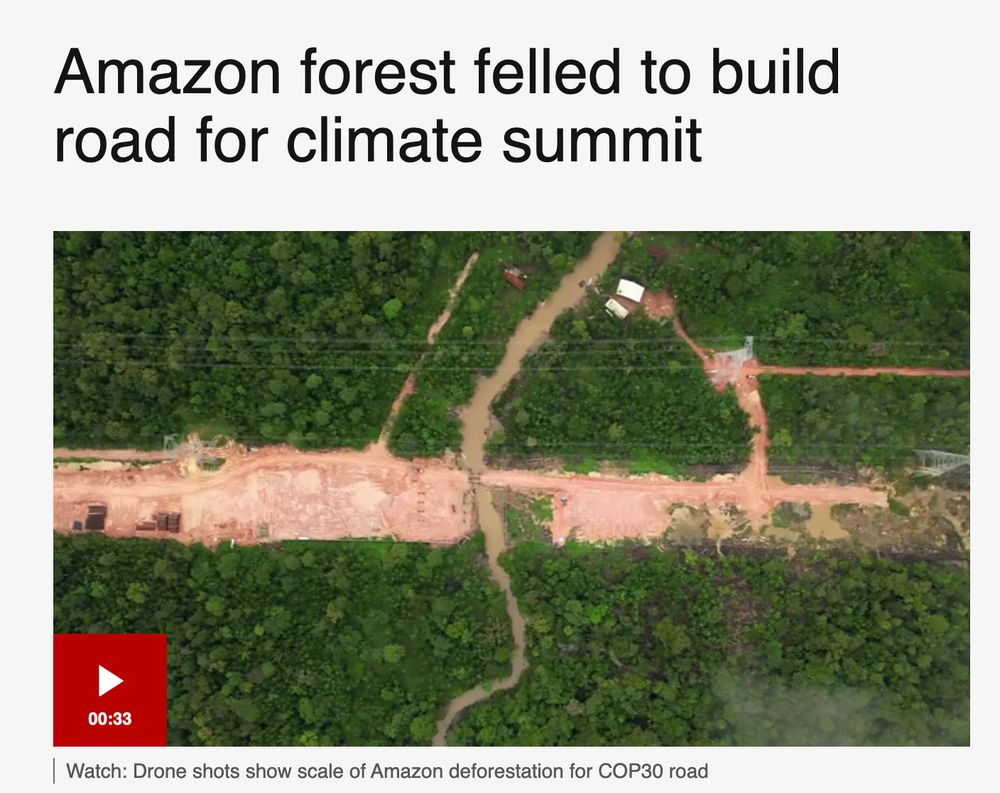 Amazon forest felled to build road for climate summit