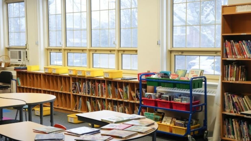 A list confirmed by CBC News shows titles like The Handmaid's Tale and Brave New World are among books to be pulled. The development comes after a policy from Alberta's education minister outlines new...