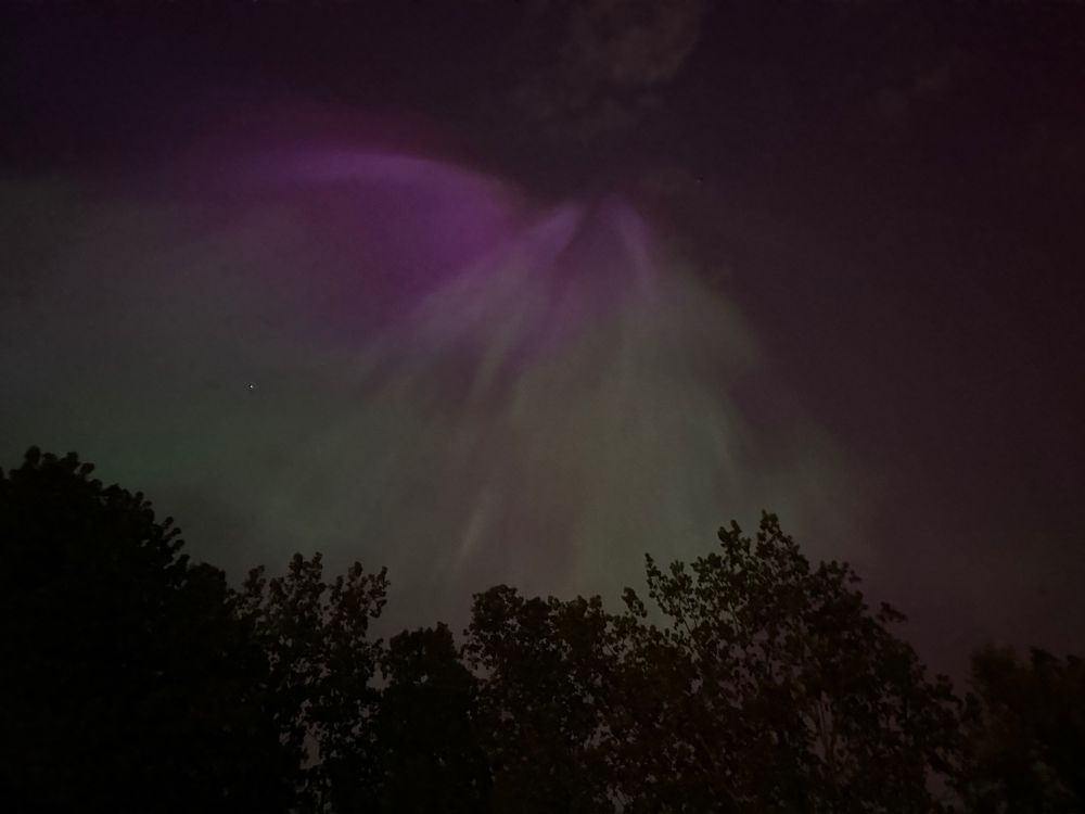 Streaky pink and green lines of aurora converge in the night sky over dark trees.