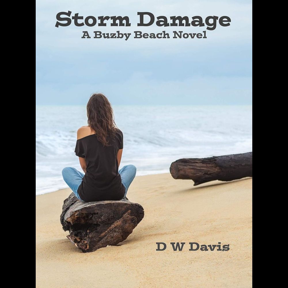 Vote for Storm Damage: A Buzby Beach Young Adult Romance Novel (Buzby Beach Romances) in Book Cover ...