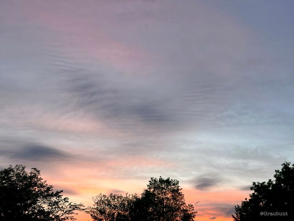 Himmel in den Farben Hellblau, Rosa, Grau und etwas Gelb. Vorne die Spitzen dreier Baumkronen.