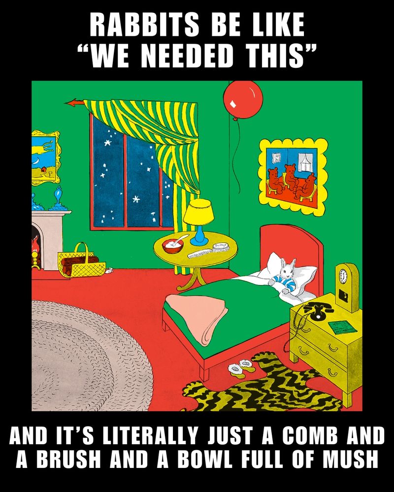 🐇 🥣 💤 🌛