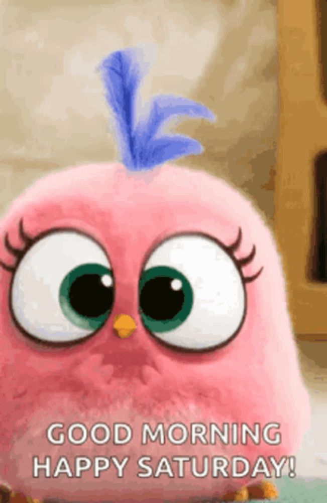 a pink angry bird with big eyes and a blue feather on its head is saying good morning happy saturday .