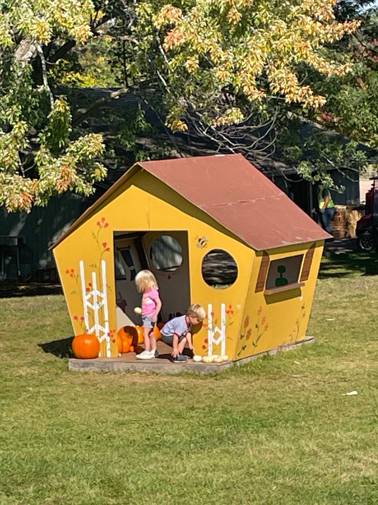 Toddlers outside a tiny yellow house sorting pumpkins on its tiny front stoop. 