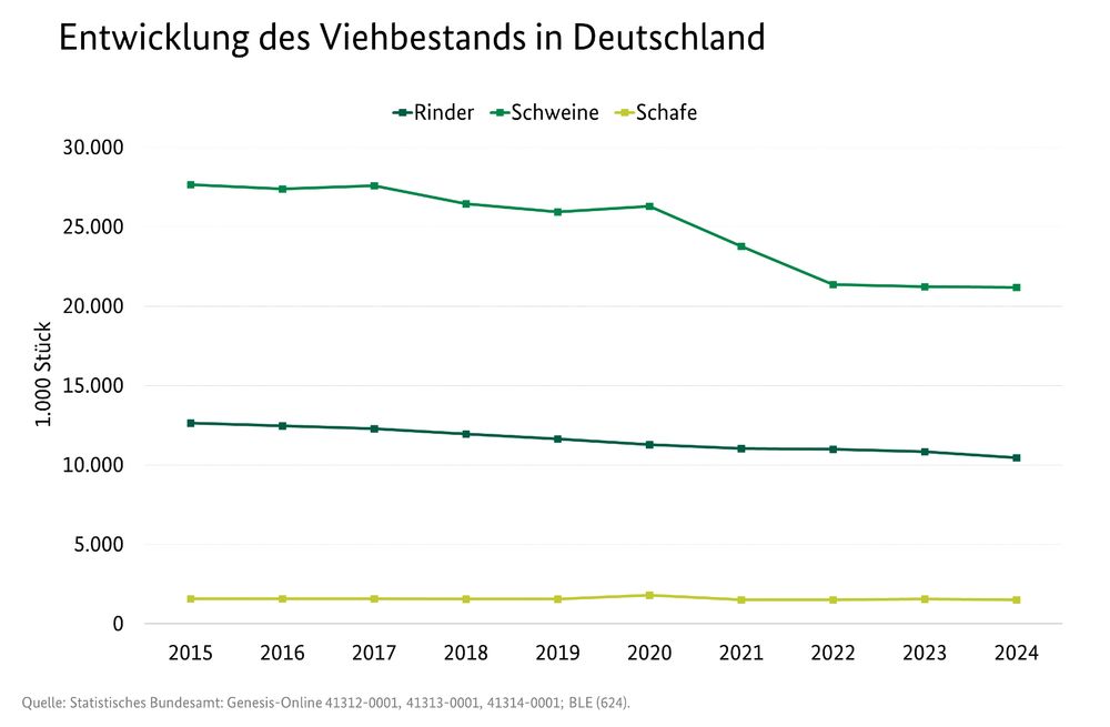 Sinkende Bestände in Deutschland bei Rindern, Schweinen und Schafen
Quelle statistisches Bundesamt