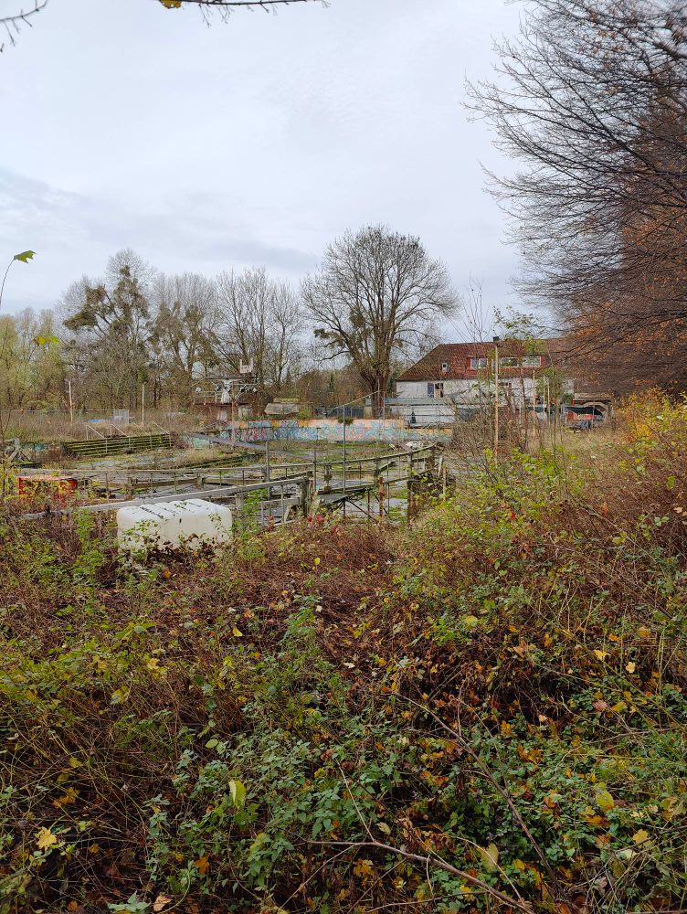 Verlassenen Schwimmbad im Herbst 