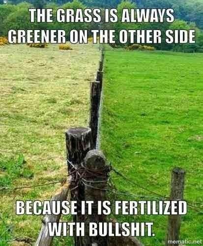The grass is always greener on the other side-meme

