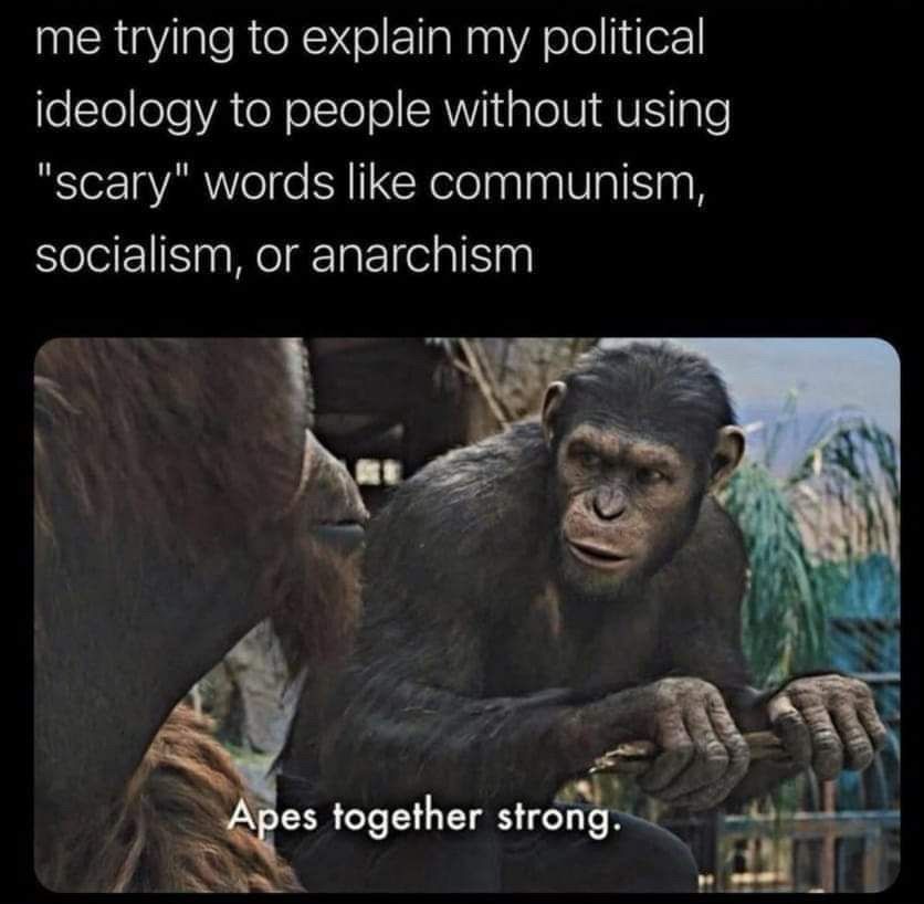 “Me trying to explain my political ideology to people without using “scary” words like communism, socialism, or anarchism” in print above a screenshot from one of the new Planet of the Apes movies with Caesar the chimp signing “Apes together strong” (in subtitle)