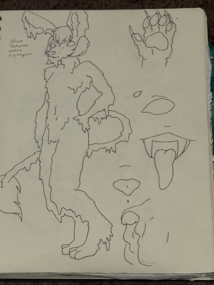 Ref sheet, ink, sketchbook; on the left is a 3/4 view of a gooey trans masc Anthro figure, he has a long lions tail and rabbit like head w/long bunny ears and a short bob hairstyle; right side has various details/closeups, following will go from top down; a hand with paw pads on finger tips and palms with claws; a wide eye with no pupils or irises and a small/extra short eyebrow; a split lip mouth with fangs and a long tongue; an animal nose like that of a rabbit or cat; profile view of a vulva with obvious heavy influences from testosterone like that of an incredibly larger clitoris and longer/larger labia