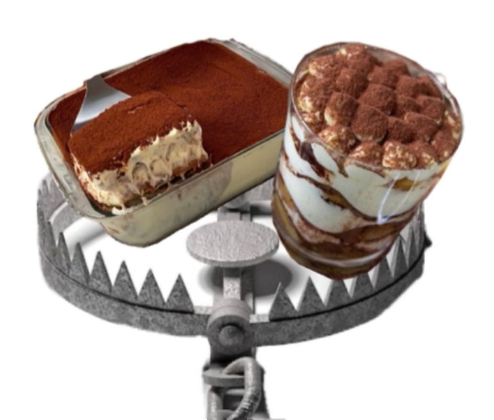Tiramisu in a bear trap