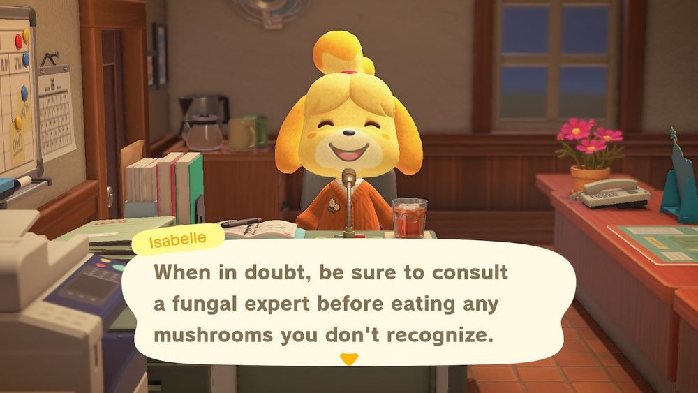 Isabelle is sitting at her desk and saying, "When in doubt, be sure to console a fungal expert before eating any mushrooms you don't recognize."