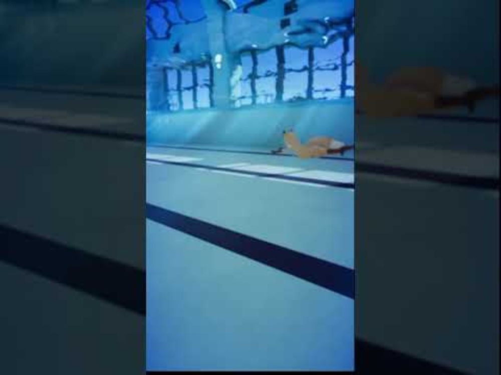 Cute Furry Foxgirl swims Underwater