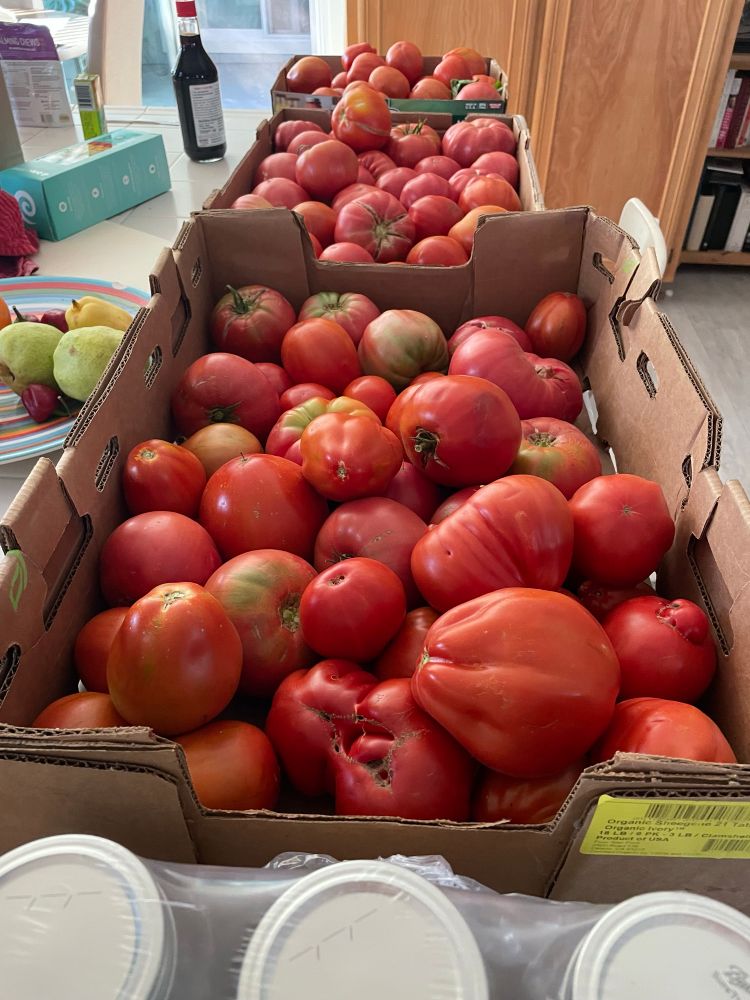 Tomatoes of all kinds from a couple weeks ago