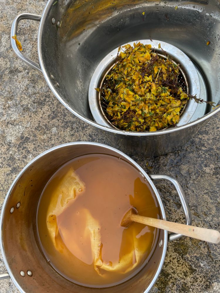 Two stainless steel stock pots. One containing yellow gorse flowers that have been soaked in water, the second containing linen and the gorse flower water, which is dyeing yellow