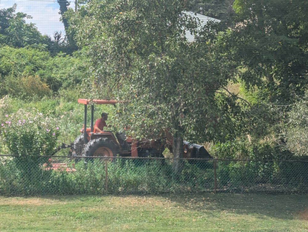 A guy bulldozing a field