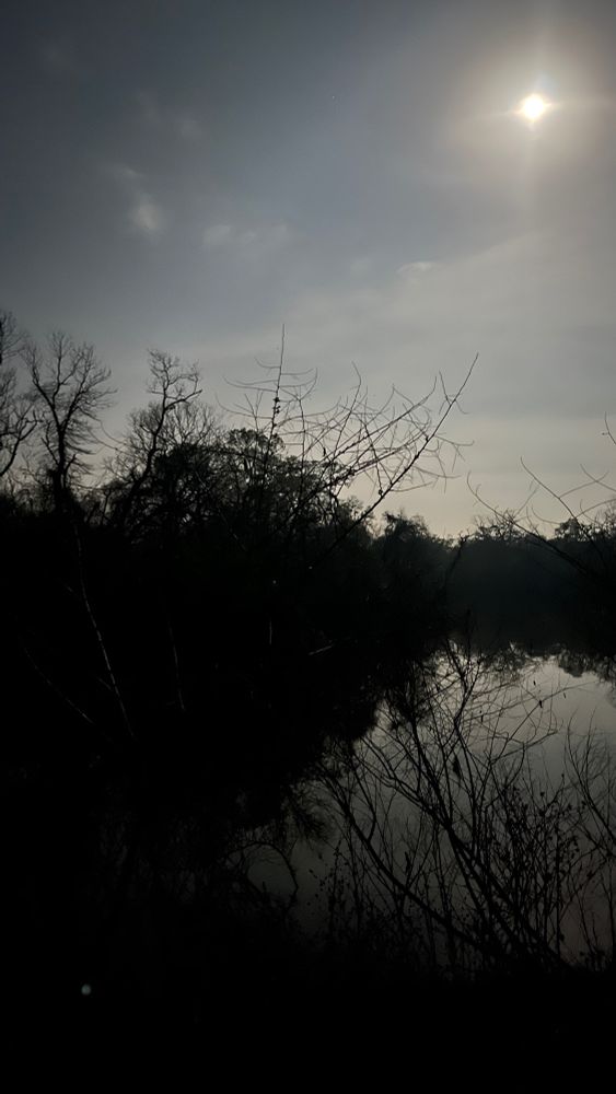 Blood moon rising over a pond with silhouetted wetland forest around. Also Brazos Bend. 
