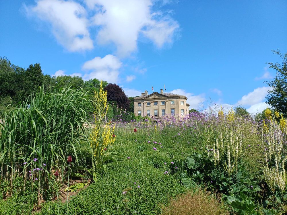 A grand house stands in the distance viewed through a garden