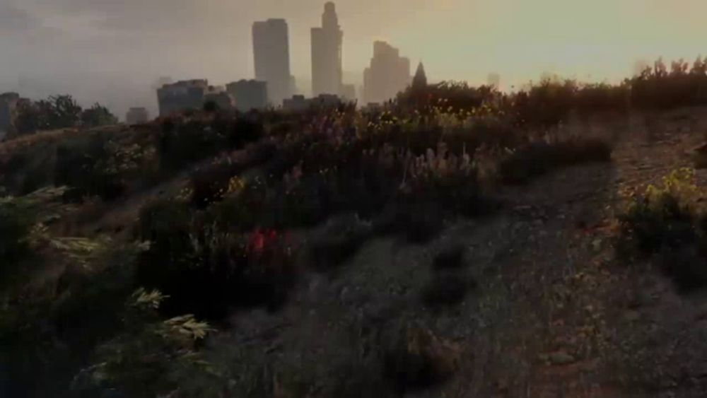 a city skyline is visible behind a field of tall grass