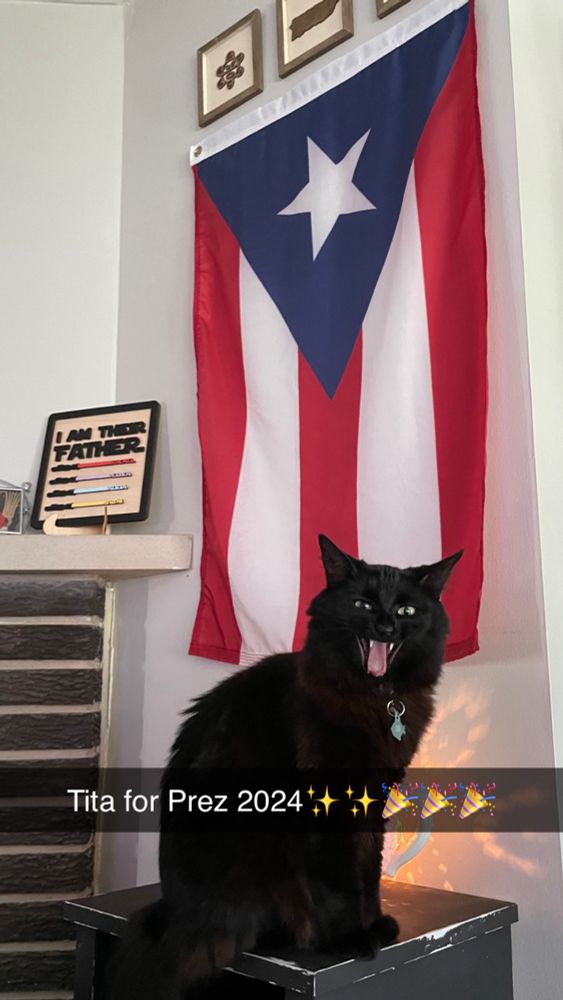 Black cat in front of the flag of Puerto Rico.