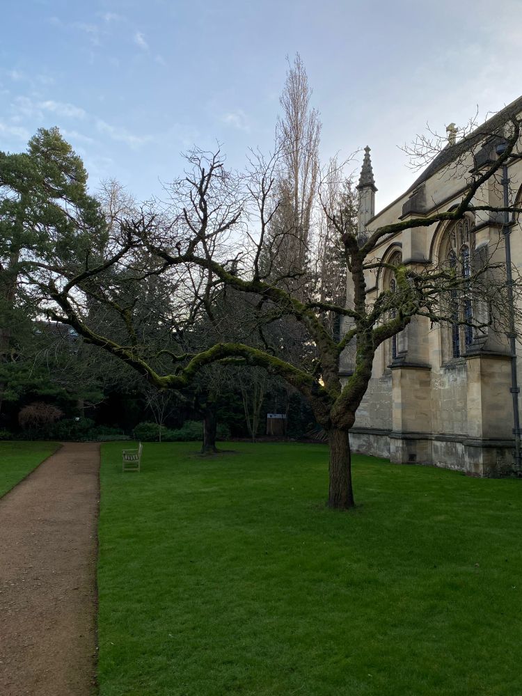Wadham College, Fellows‘ Garden