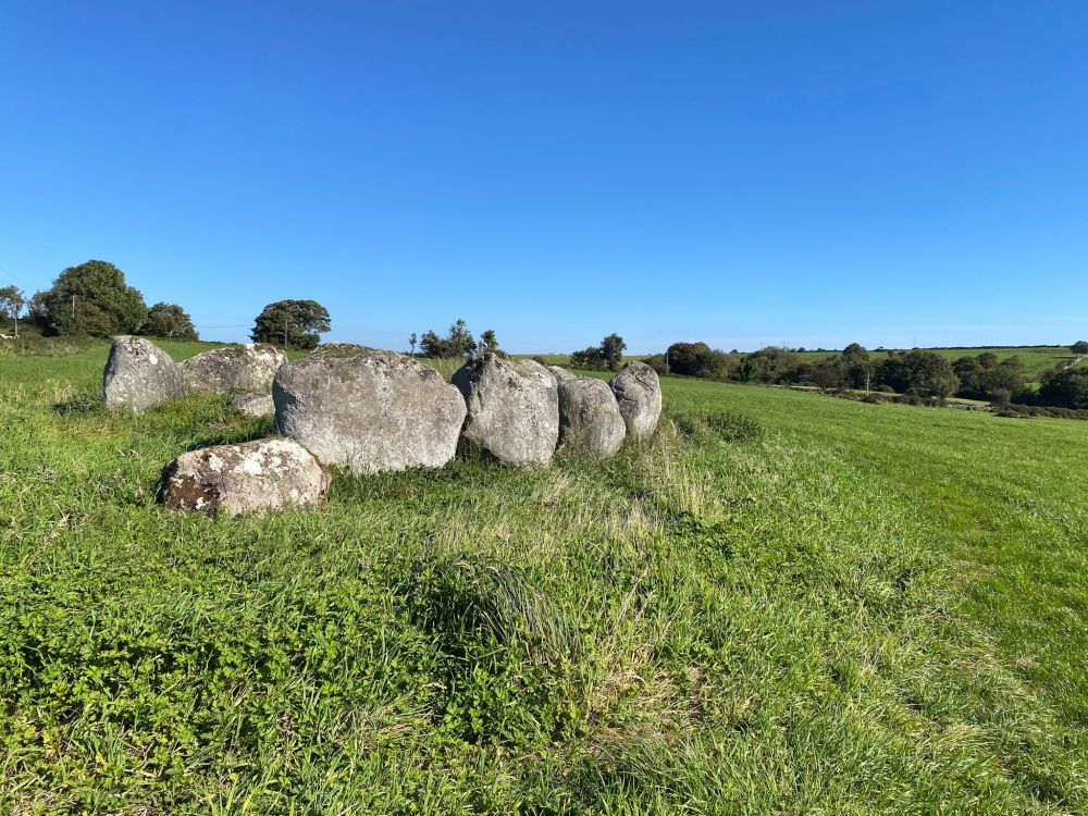 Megalithic Wedge Tomb in a field