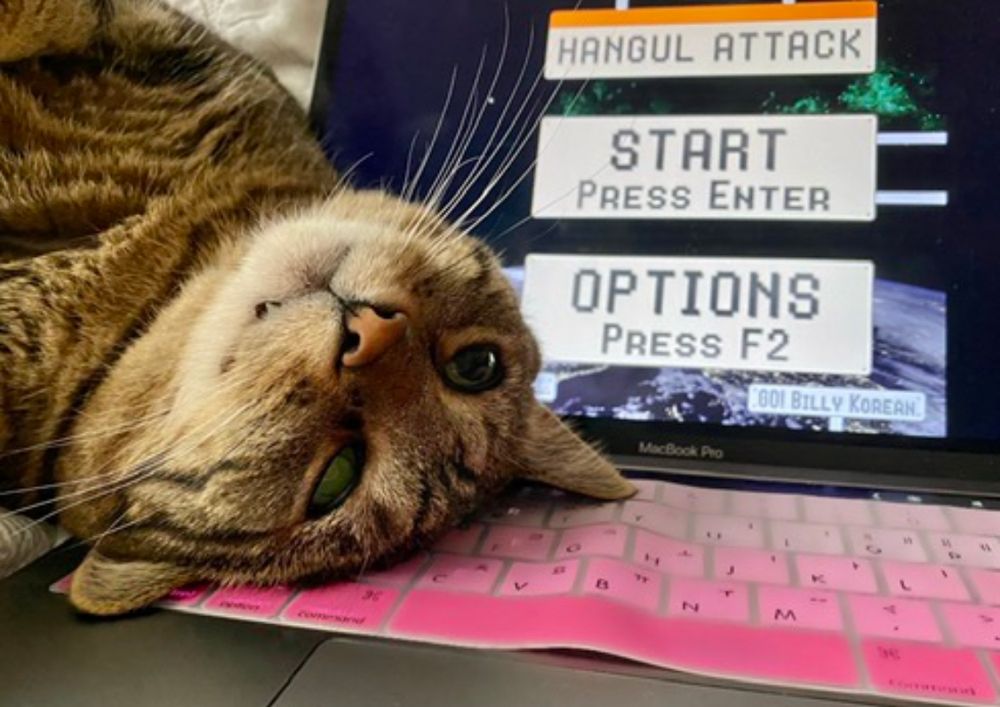 A light brown tabby cat with his head resting upside down on an open laptop. The laptop has a pink keyboard, and the screen displays a game called Hangul Attack.