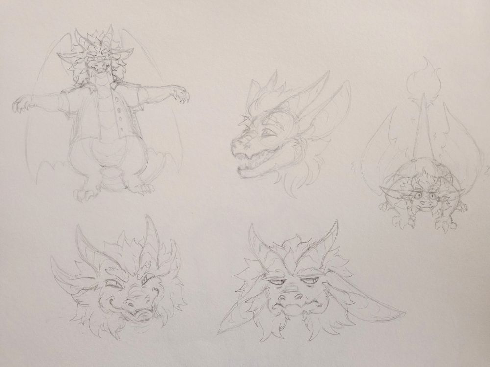 A myriad of sketches of a chubby dragon with a large mane, tufted tail, and fluffy cheeks and brows. One is a full-body t-pose with a cocky expression, it's wearing an open hawaiian shirt. Another is the dragon on all fours with its tail sticking straight up bearing a spooked expression. The others are all headshots, a smile, a grumpy side-eye and an evil smirk respectively.