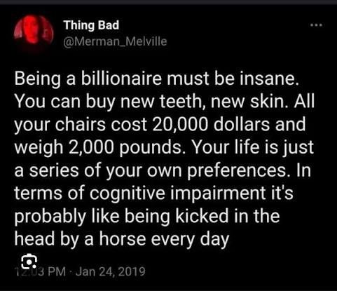 Tweet from Thing Bad @Merman_Melville : Being a billionaire must be insane. You can buy new teeth, new skin. All your chairs cost 20,000 dollars and weigh 2,000 pounds. Your life is just a series of your own preferences. In terms of cognitive impairment it's probably like being kicked in the head by a horse every day
2:03 PM Jan 24, 2019