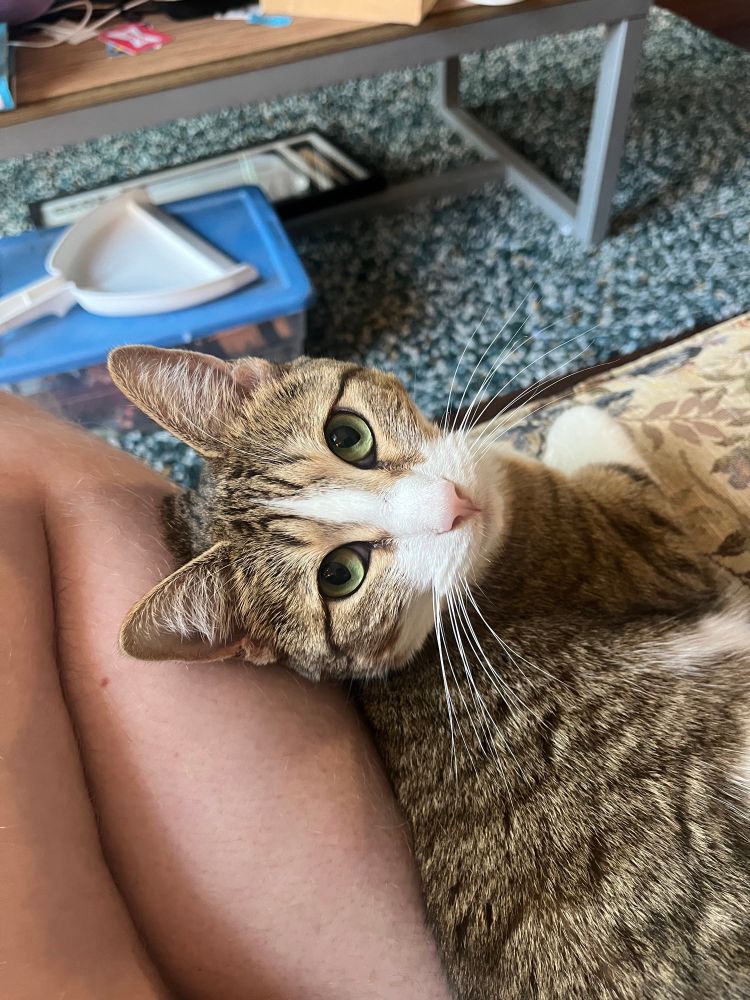 Same as before, but a slightly different angle.