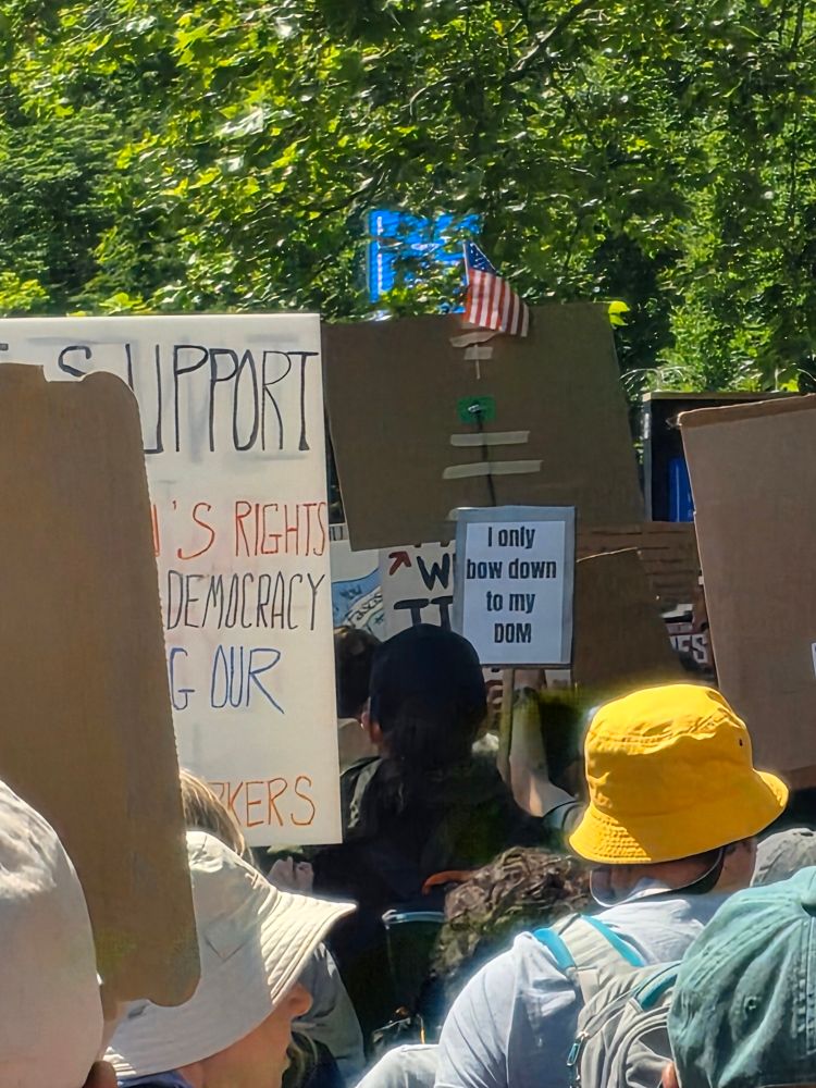 Protest sign that reads: I only bow down to my dom