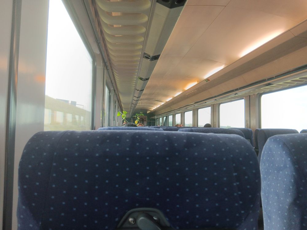 Das Innere eines ehemaligen IC-Großraumwagens auf der Linie RE200. Das Foto ist sitzend, knapp über die Nackenlehnen aufgenommen. Man sieht ein Gewächs mit grünen Blättern in die Höhe ragen, das vermutlich auf einem der Tische in einer Vierersitzgruppe steht.
