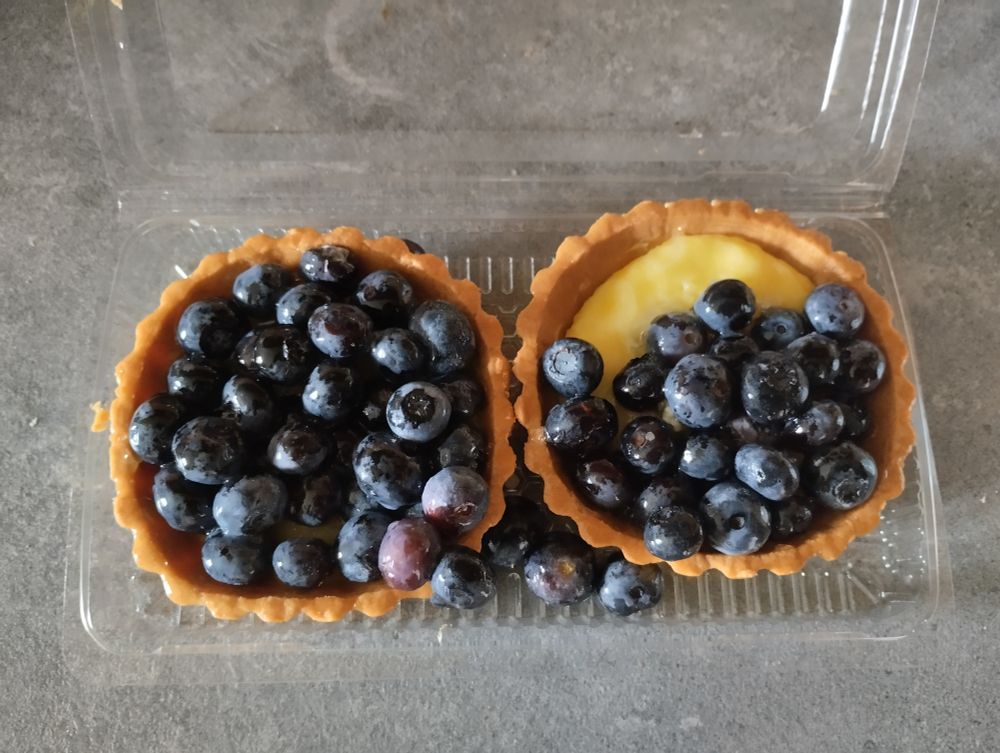 Two tarts with lots of blueberries on them