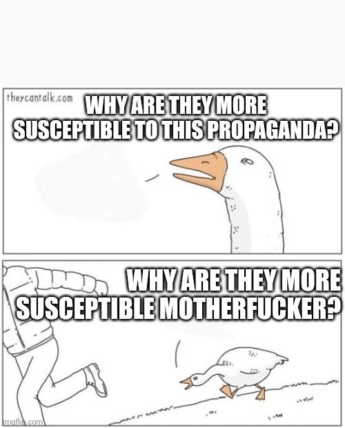 Angry goose meme. Top panel says "Why are they more susceptible to this propaganda ? "

Bottom panel says " Why are they more susceptible motherfucker ? "