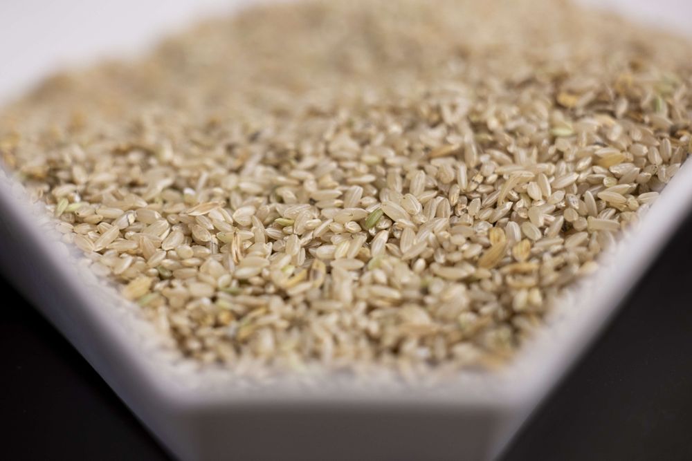 rice in a bowl