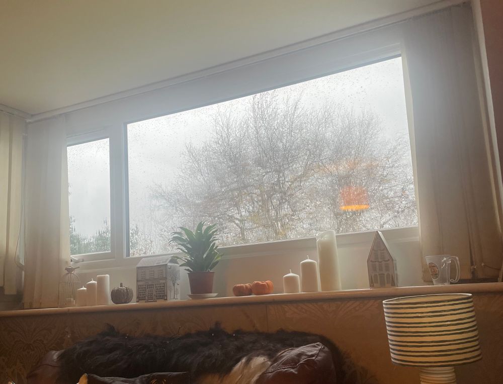 The view from a living room window of wind and rain and a tree prominently at the centre.