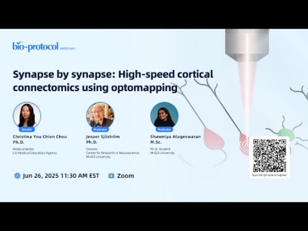 Synapse by synapse: High-speed cortical connectomics using optomapping | Webinar | Neuroscience