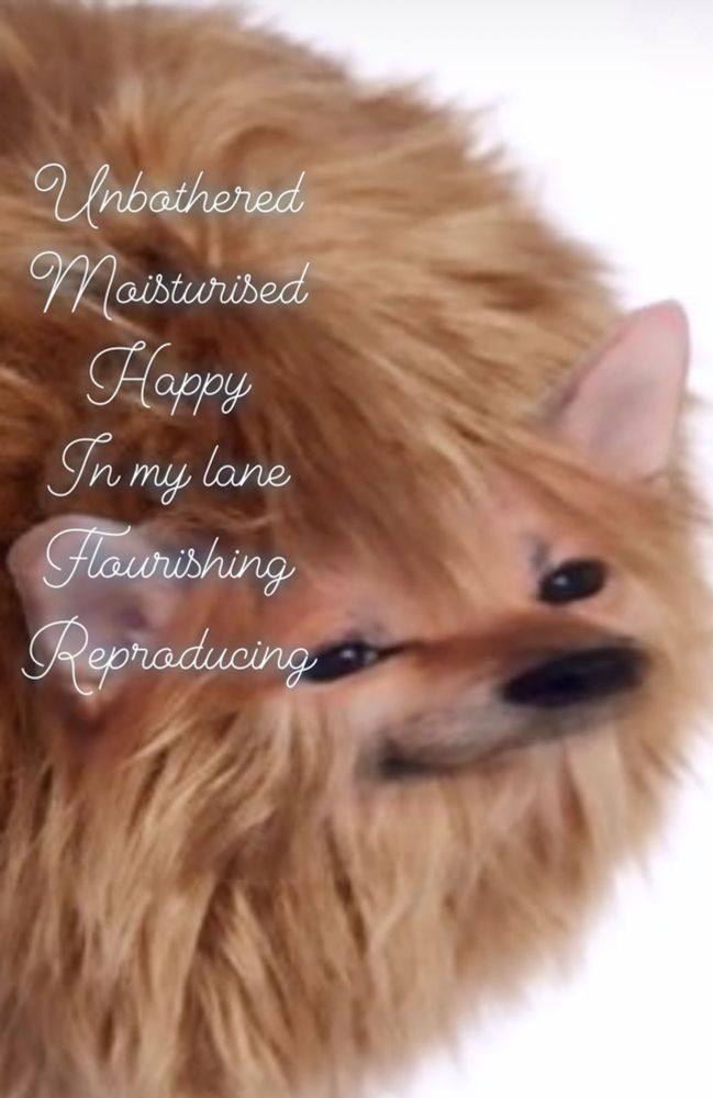 A NAFO tribble fella smiles contentedly. The caption uses a flowery script to say “Unbothered Moisturized  Happy  In my lane Flourishing Reproducing.”
