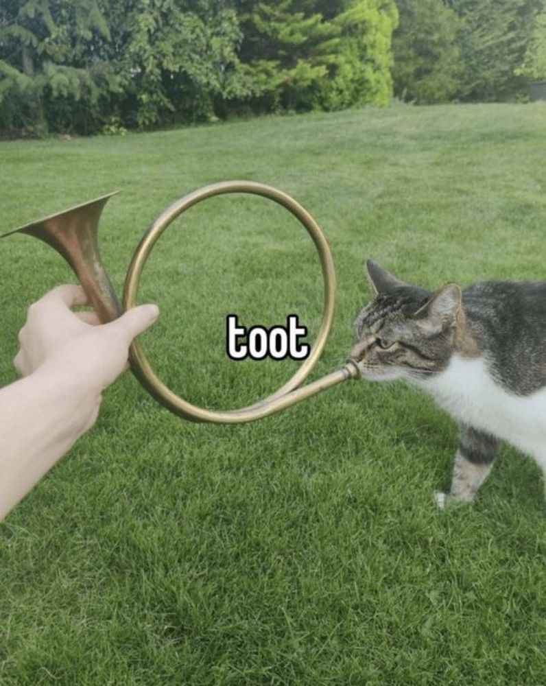 A cat with its lips at the mouthpiece of a circular brass horn that a human hand is holding in front of the cat. The caption reads “toot” .