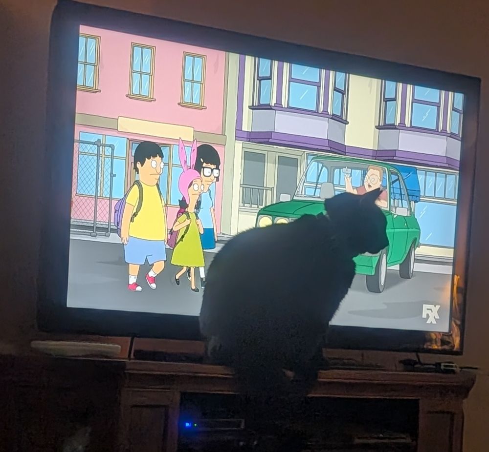 Black cat sitting in front of television in protest of not being fed