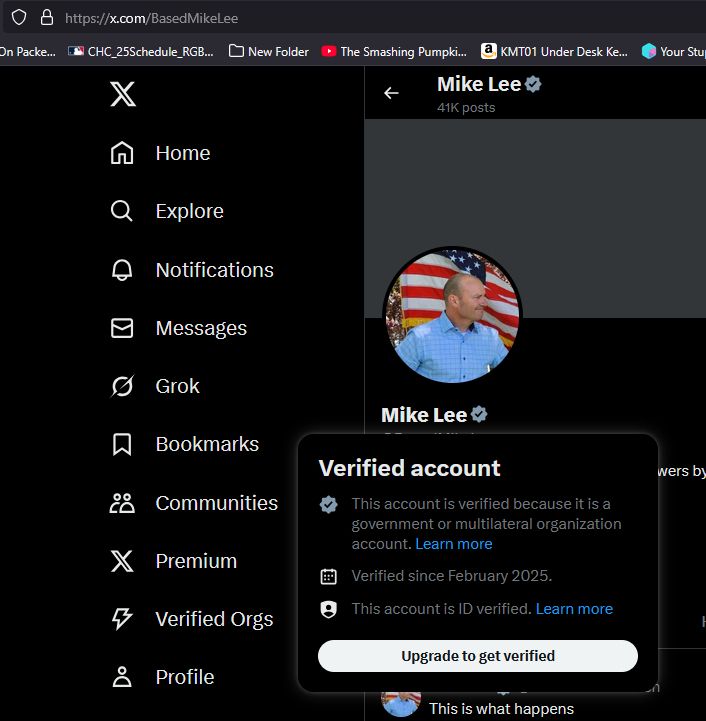 A screenshot of the mouse-over popup that shows when you hover over the verification badge on the X account BasedMikeLee that shows it labelled as a "government or multilateral organization" account. 
