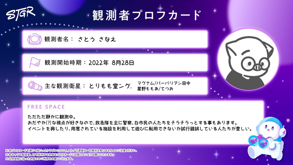 ストグラ 観測者プロフカード
