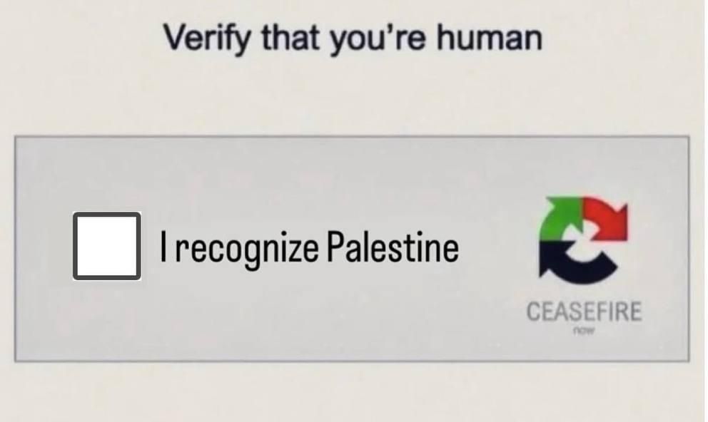 Een box Inn te bewijzen dat je mens bent
Het vinkje bij de tekst 'i recognize Palestine' 