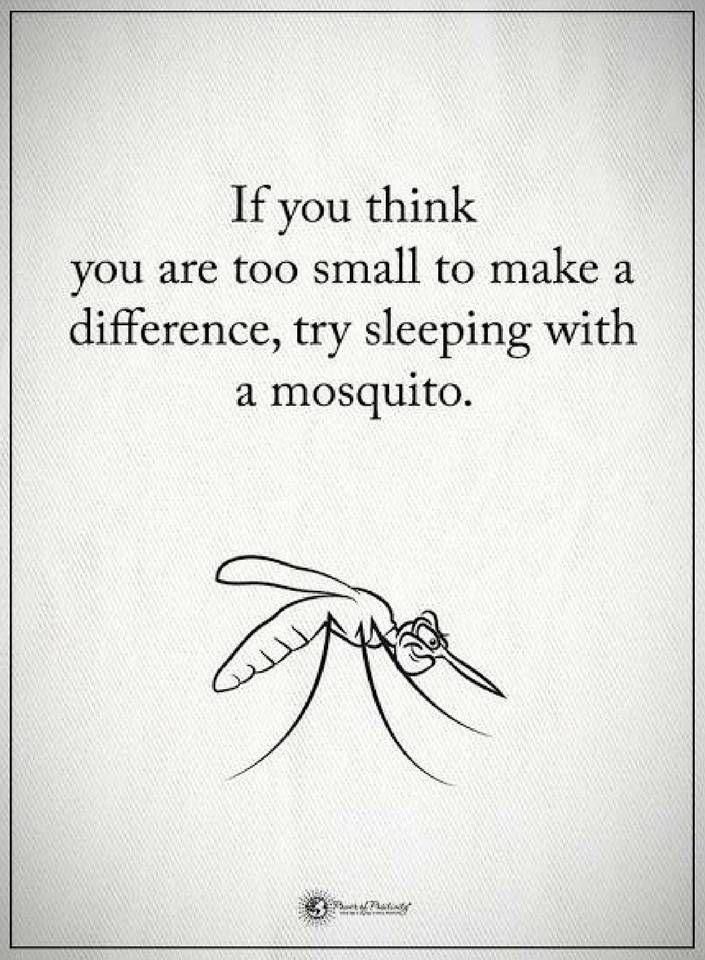 A motivational poster meme with a cartoon mosquito on it that reads: If you think you are too small to make a difference, try sleeping with a mosquito
