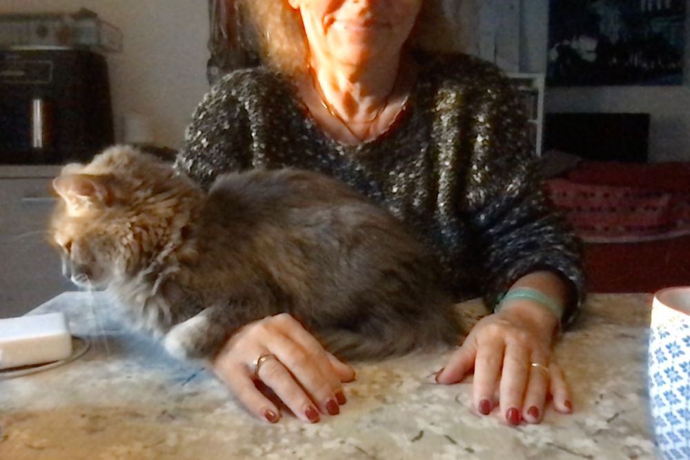 A woman with long hair sits at a table, holding her hands with red nail polish in view, while a fluffy cat sits on her wrist preventing her frmo moving the hand.
