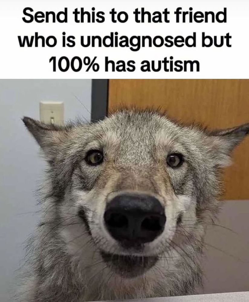 Post image (had no alt text on Bluesky)
