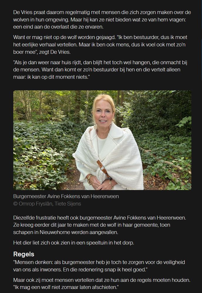 De Vries praat daarom regelmatig met mensen die zich zorgen maken over de wolven in hun omgeving. Maar hij kan ze niet bieden wat ze van hem vragen: een eind aan de overlast die ze ervaren.
Want er mag niet op de wolf worden gejaagd. "Ik ben bestuurder, dus ik moet het eerlijke verhaal vertellen. Maar ik ben ook mens, dus ik voel ook met zo'n boer mee", zegt De Vries.
"Als je dan weer naar huis rijdt, dan blijft het toch wel hangen, die onmacht bij de mensen. Want dan komt er zo'n bestuurder bij hen en die vertelt alleen maar: ik kan op dit moment niets."
Burgemeester Avine Fokkens van Heerenveen
Burgemeester Avine Fokkens van Heerenveen © Omrop Fryslân, Tiete Sijens
Diezelfde frustratie heeft ook burgemeester Avine Fokkens van Heerenveen. Ze kreeg eerder dit jaar te maken met de wolf in haar gemeente, toen schapen in Nieuwehorne werden aangevallen.
Het dier liet zich ook zien in een speeltuin in het dorp.
Regels
"Mensen denken: als burgemeester heb je toch te zorgen voor de veiligheid van ons als inwoners. En die redenering snap ik heel goed."
Maar ook zij moet mensen vertellen dat ze hun aan de regels moeten houden. "Ik mag een wolf niet zomaar laten afschieten."
