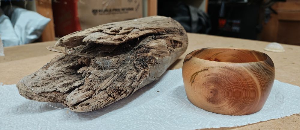 bowl and driftwood it was made from