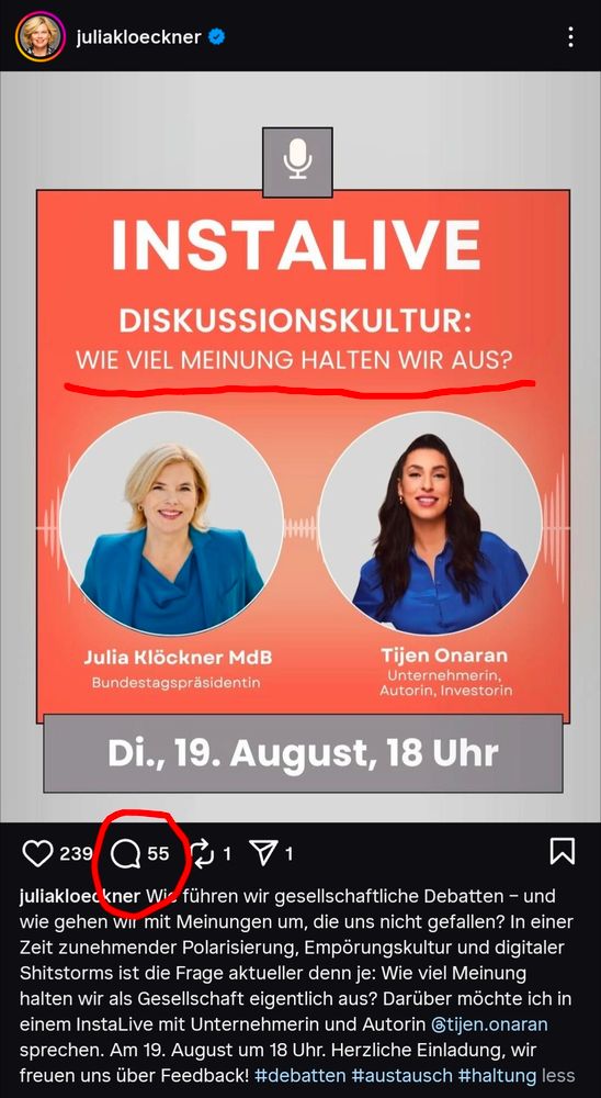 Screenshot der Instagram Seite von Julia Klöckner