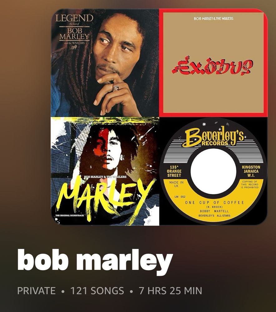 Screenshot of my Bob Marley playlist and its 7 hour and 25 minute runtime 